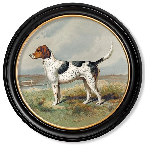 C.1881 Working Gun Dogs Round Framed Prints by T A Interiors