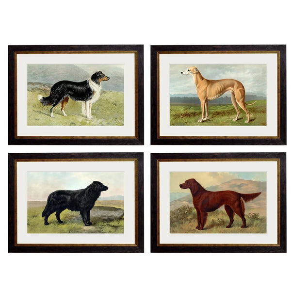 C.1881 Working Dogs Framed Prints by T A Interiors