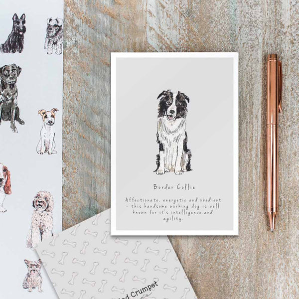 Border Collie Card by Toasted Crumpet