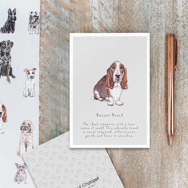 Bassett Hound Card by Toasted Crumpet