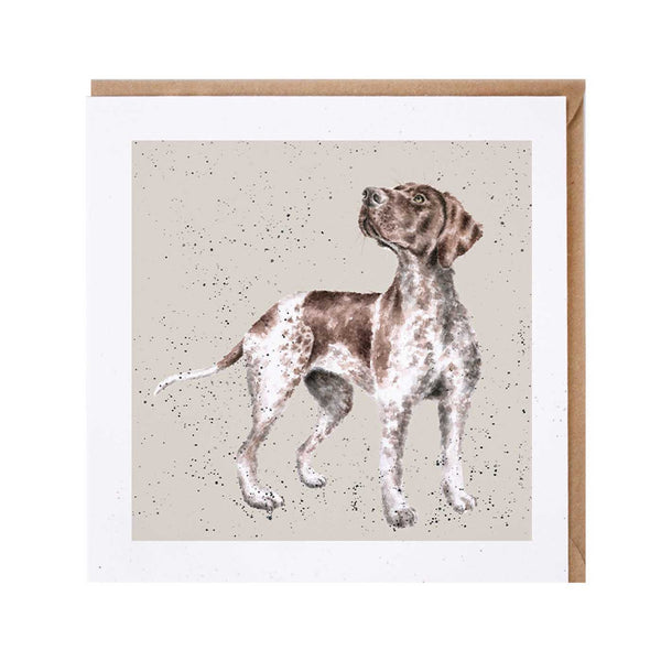 German Pointer Dog Card by Wrendale