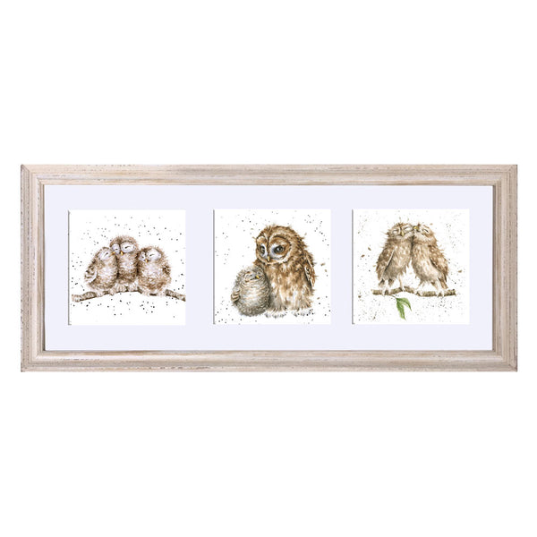 A Trio of Owls Framed Print by Wrendale