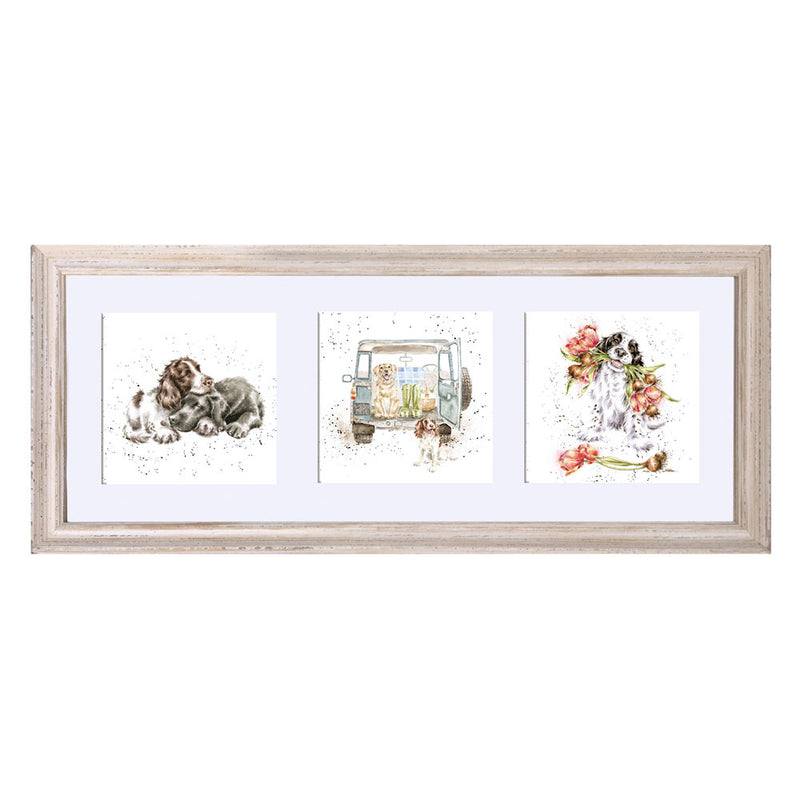 A Trio of Dogs Framed Print British Made A Trio of Dogs Framed Print by Wrendale