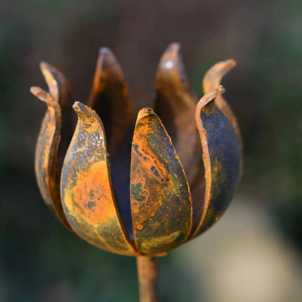 Rusty Metal Garden Flower Sculpture by Savage Works