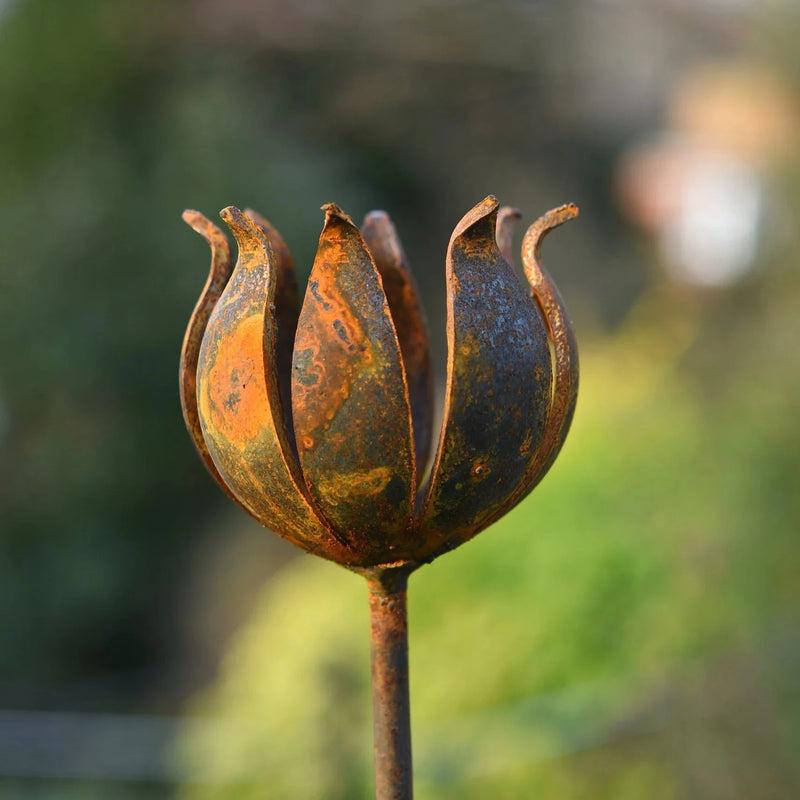 Rusty Metal Garden Flower Sculpture British Made Rusty Metal Garden Flower Sculpture by Savage Works