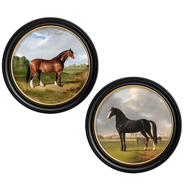 C.1840s Horses Round Framed Prints by T A Interiors