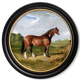C.1840s Horses Round Framed Prints British Made C.1840s Horses Round Framed Prints by T A Interiors