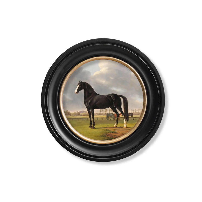 C.1840s Horses Round Framed Prints British Made C.1840s Horses Round Framed Prints by T A Interiors