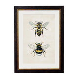Honey & Bumble Bee Framed Print British Made Honey & Bumble Bee Framed Print by T A Interiors