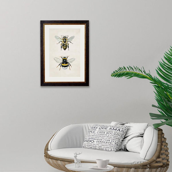 Honey & Bumble Bee Framed Print by T A Interiors