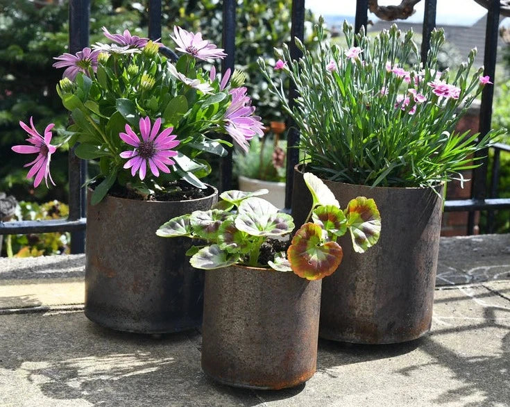 Rusty Plant Pots British Made Rusty Plant Pots by Savage Works