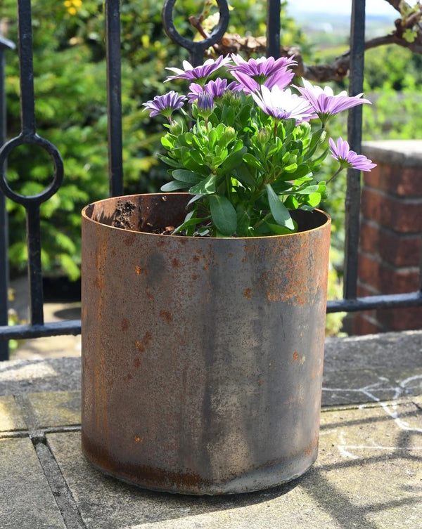 Rusty Plant Pots by Savage Works