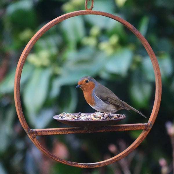Hanging Bird Feeder Platform Ring by Savage Works