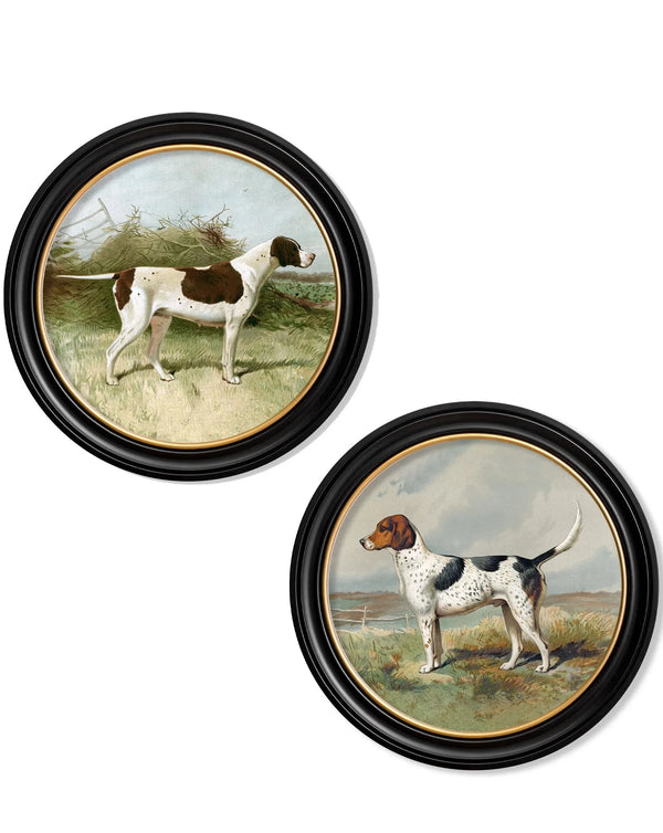 C.1881 Working Gun Dogs Round Framed Prints by T A Interiors