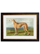 C.1881 Working Dogs Framed Prints British Made C.1881 Working Dogs Framed Prints by T A Interiors