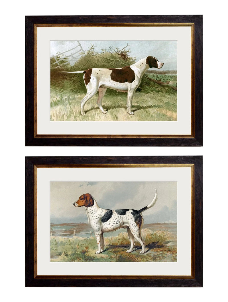 C.1881 Working Gun Dogs Framed Prints British Made C.1881 Working Gun Dogs Framed Prints by T A Interiors