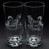 50+ Dog Breeds | Highball Glass | Placement British Made 50+ Dog Breeds | Highball Glass | Placement by Glyptic Glass Art