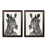 C.1890 Zebra Framed Prints British Made C.1890 Zebra Framed Prints by T A Interiors