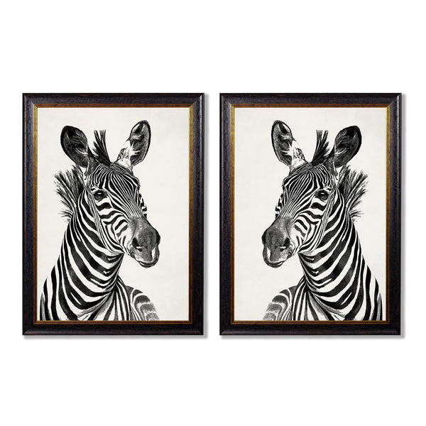 C.1890 Zebra Framed Prints by T A Interiors