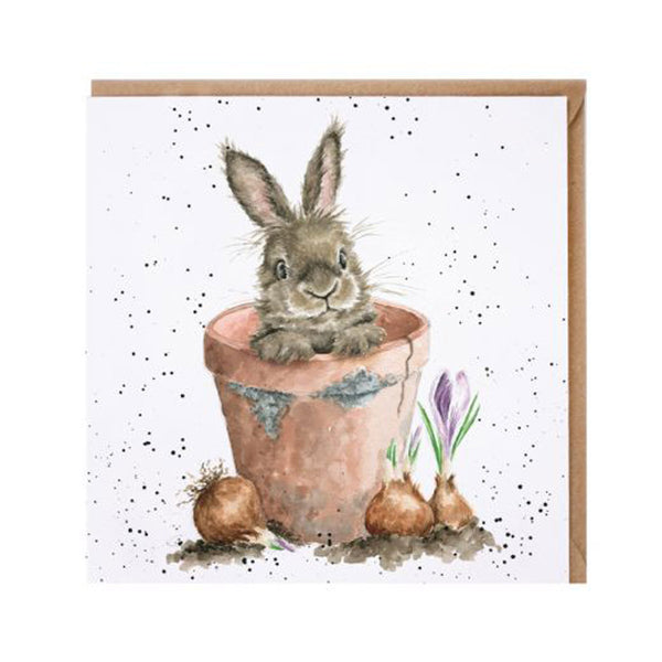 The Flower Pot Card by Wrendale