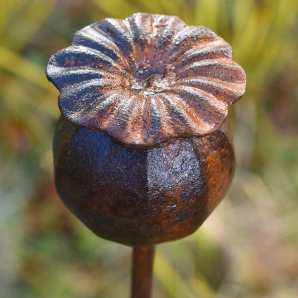 Rustic Metal Poppy Seedhead by Savage Works