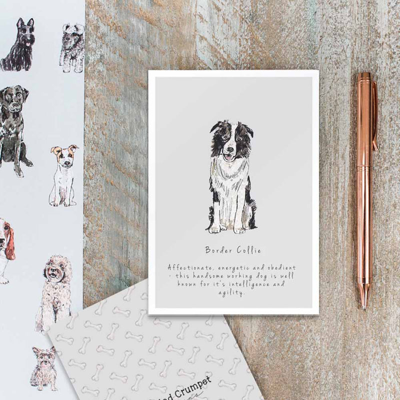 Border Collie Card British Made Border Collie Card by Toasted Crumpet