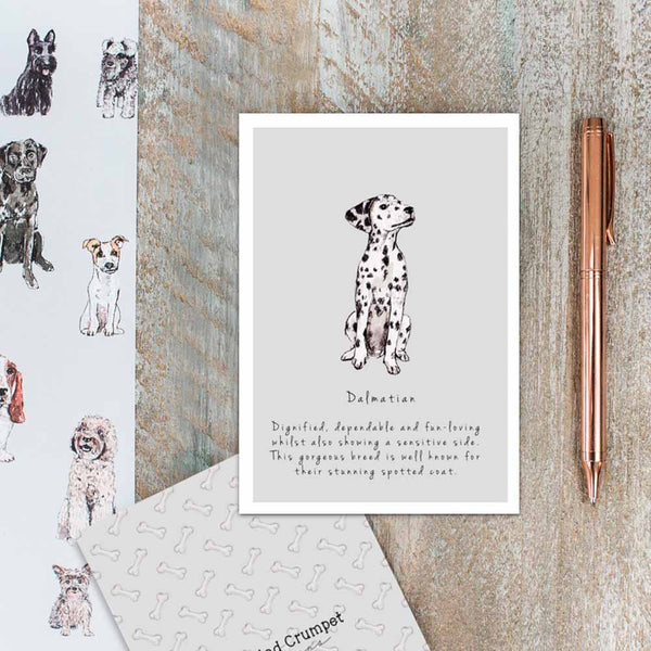 Dalmatian Card by Toasted Crumpet