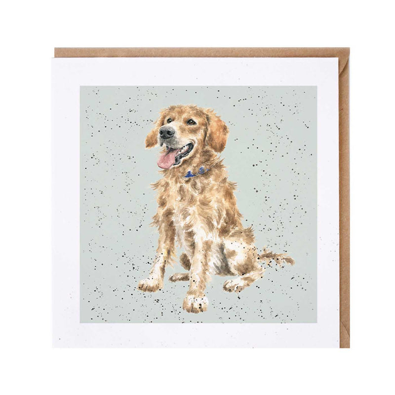 Golden Retriever Dog Card British Made Golden Retriever Dog Card by Wrendale