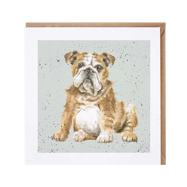 Bulldog Dog Card by Wrendale