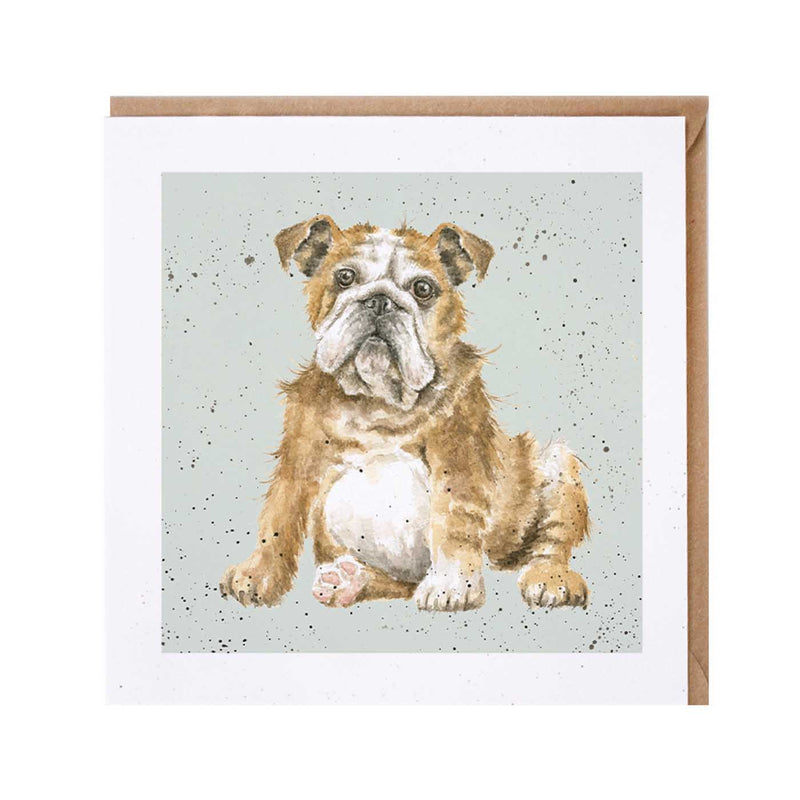 Bulldog Dog Card British Made Bulldog Dog Card by Wrendale