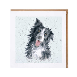 Border Collie Dog Card British Made Border Collie Dog Card by Wrendale