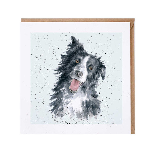 Border Collie Dog Card by Wrendale