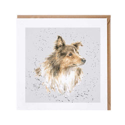 Rough Coated Collie Card British Made Rough Coated Collie Card by Wrendale