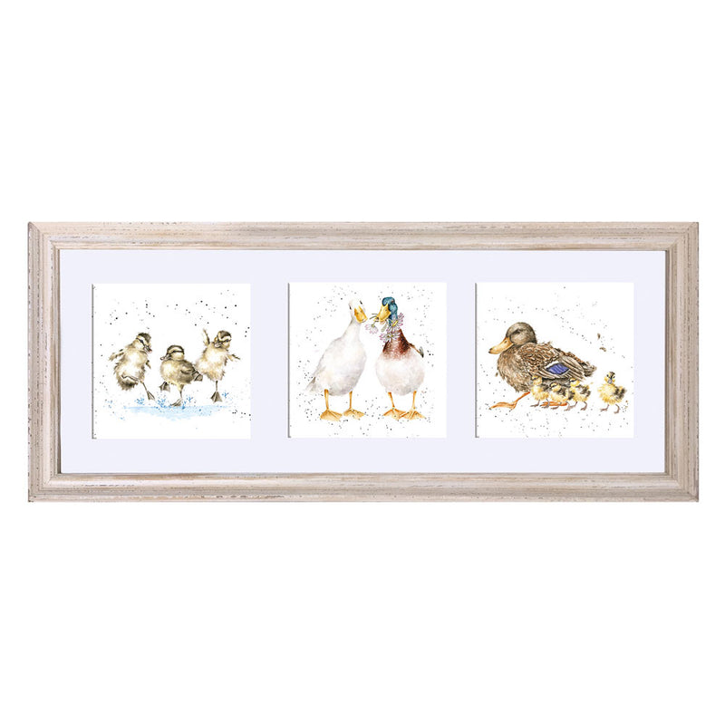 A Trio of Ducks Framed Print British Made A Trio of Ducks Framed Print by Wrendale
