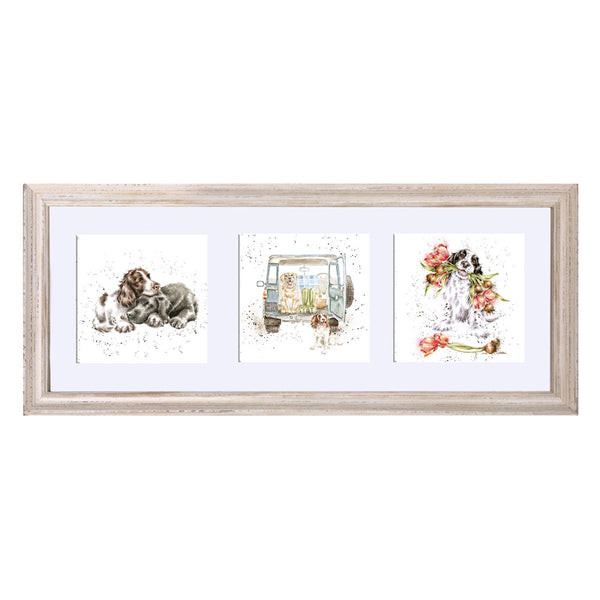 A Trio of Dogs Framed Print by Wrendale