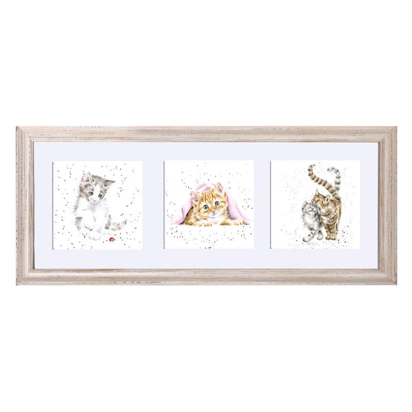 A Trio of Cats Framed Print by Wrendale