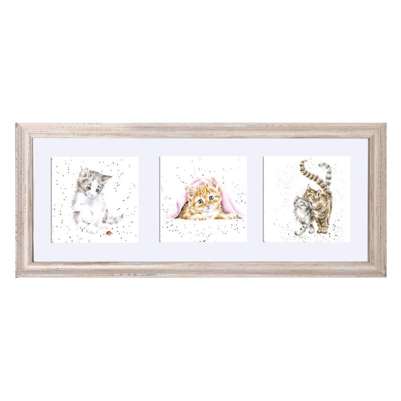 A Trio of Cats Framed Print British Made A Trio of Cats Framed Print by Wrendale