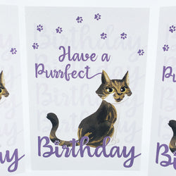 Purrfect Birthday Cat Card - Isla British Made Purrfect Birthday Cat Card - Isla by Hopping Dog Cards