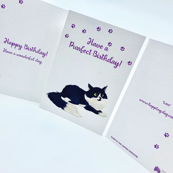 Purrfect Birthday Cat Card - Leo by Hopping Dog Cards
