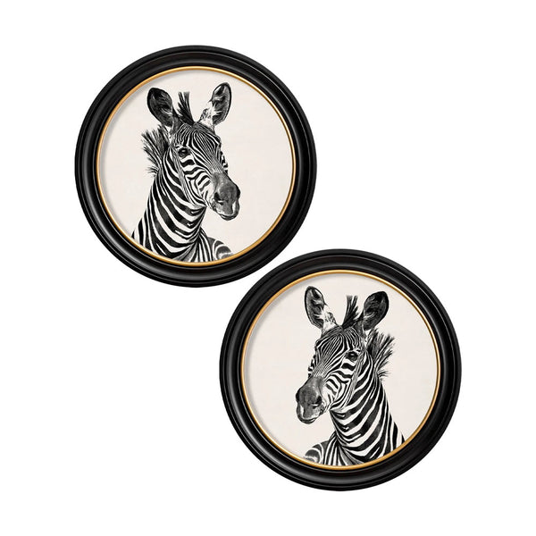 C.1890 Zebra Round Framed Prints by T A Interiors