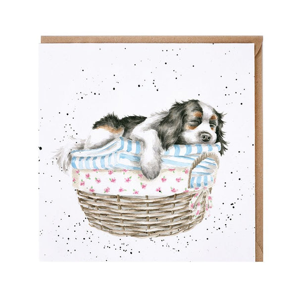 Wash, dry, fold, repeat, dog card by Wrendale