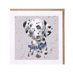Dalmatian Dog Card British Made Dalmatian Dog Card by Wrendale