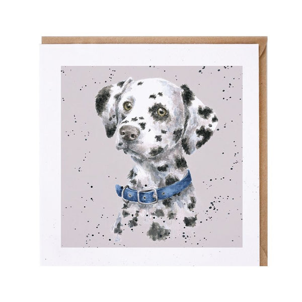 Dalmatian Dog Card by Wrendale
