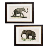 C.1846 Elephants Framed Prints British Made C.1846 Elephants Framed Prints by T A Interiors