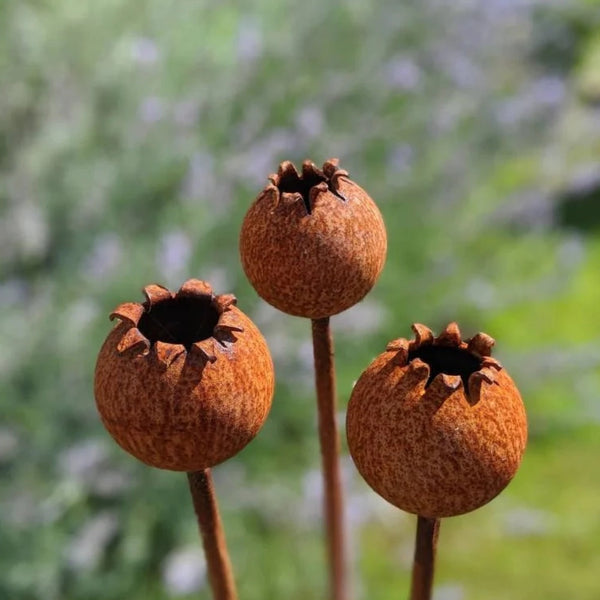 Rusty Metal Poppy Seedhead by Savage Works