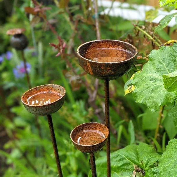 Rustic Rain Catcher & Plant Support by Savage Works