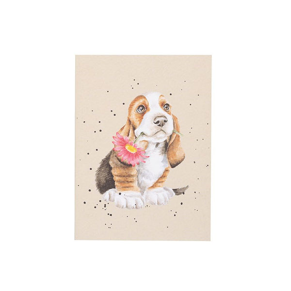 Just for You - Basset Hound A6 Notebook by Wrendale