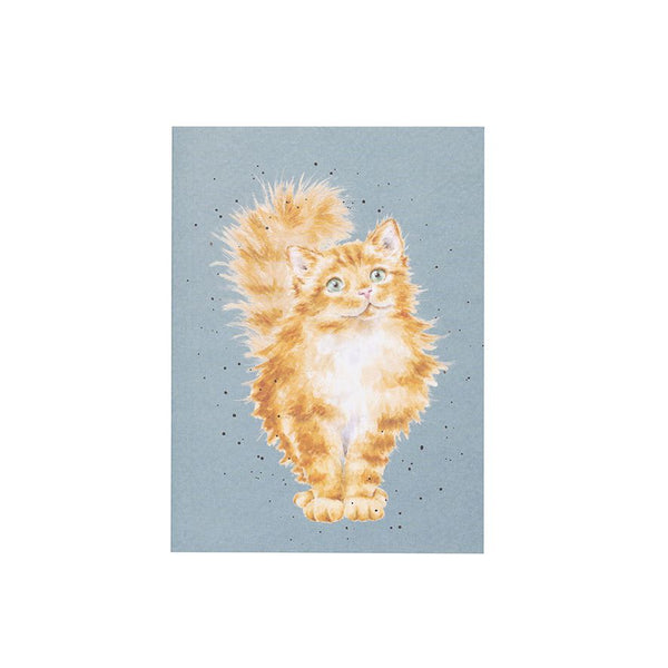 Just Purr-fect - Cat A6 Notebook by Wrendale