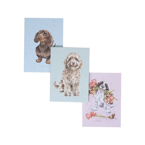 A Dogs Life Set of 3 Notebooks by Wrendale
