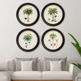 C.1843 South American Palm Trees Round Framed Prints British Made C.1843 South American Palm Trees Round Framed Prints by T A Interiors
